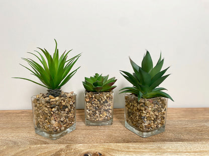 Set Of Three Faux Succulents In Glass Pots