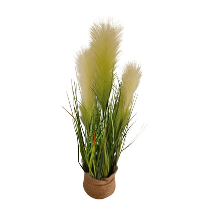 Faux Pampas Grass Display, 65cm