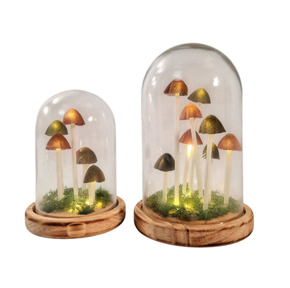 Mushroom Glass Globe with L.E.D Lighting