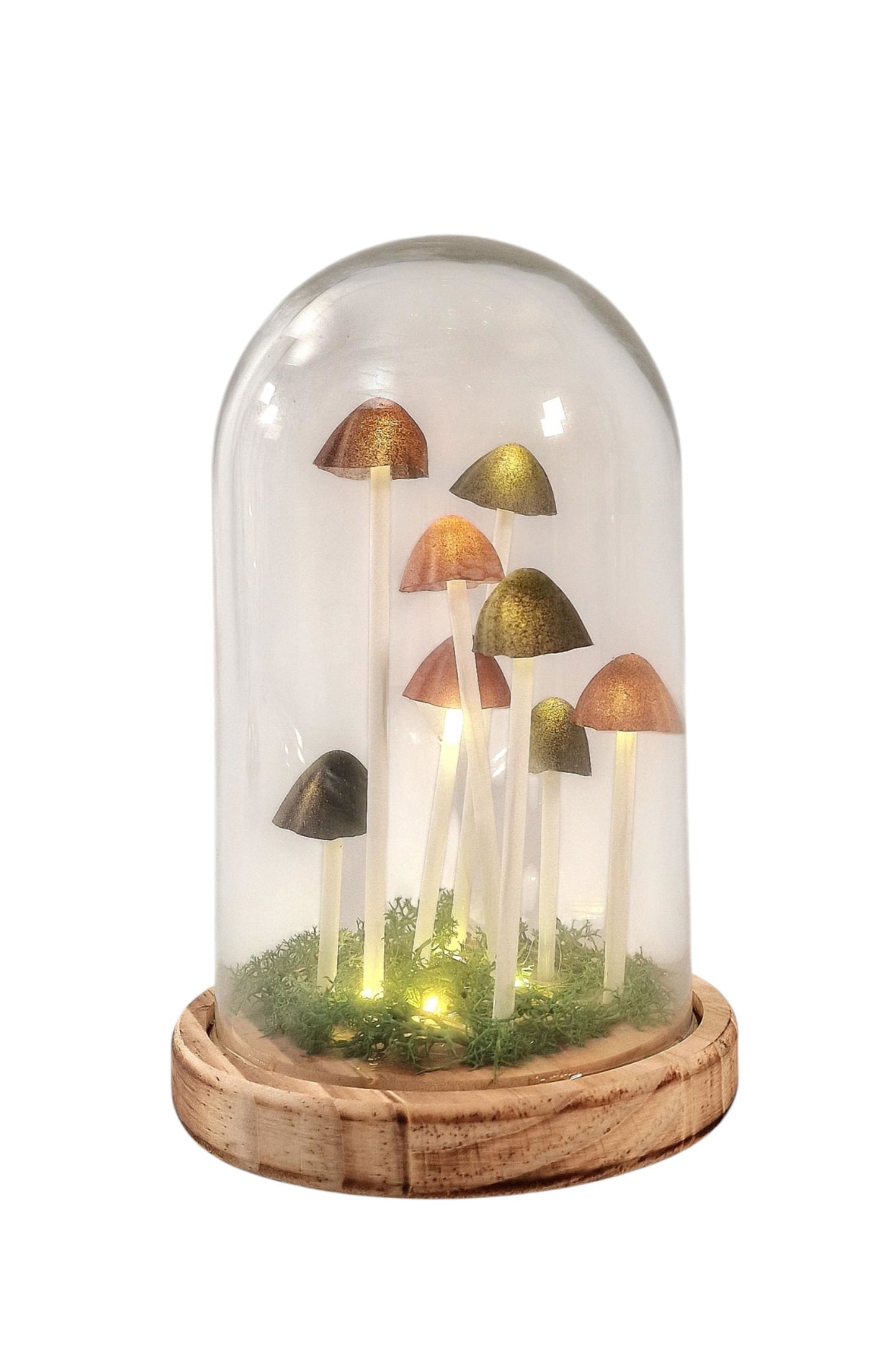 Mushroom Glass Globe with L.E.D Lighting