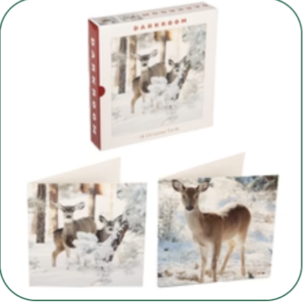 18 deer in winter Christmas cards