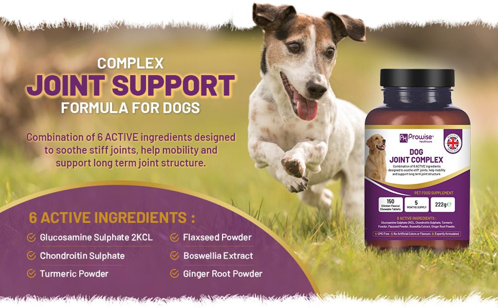 Dog Joint Support 150 Chicken Chewable Tablets 5 Months Supply | UK Made by Prowise 🚚