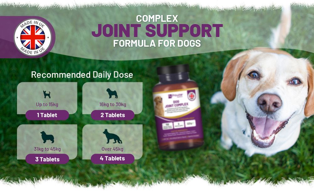 Dog Joint Support 150 Chicken Chewable Tablets 5 Months Supply | UK Made by Prowise 🚚