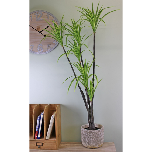 Artificial Dracaena Marginata tree, 120cm 🚚