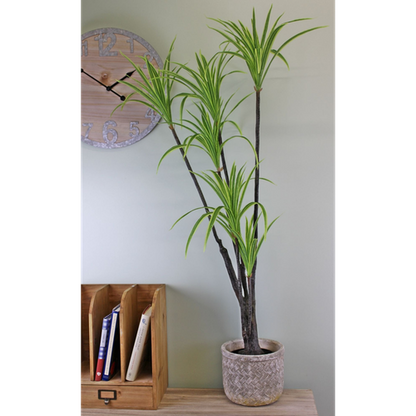 Artificial Dracaena Marginata tree, 120cm 🚚